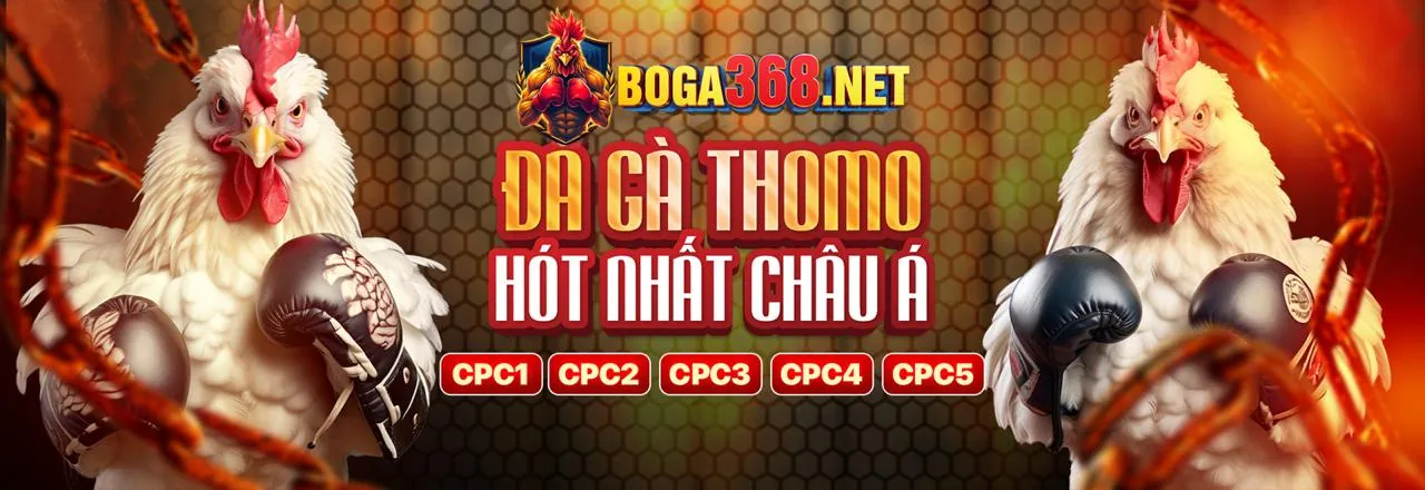 Đá gà trực tuyến Mint88 Chính Thức